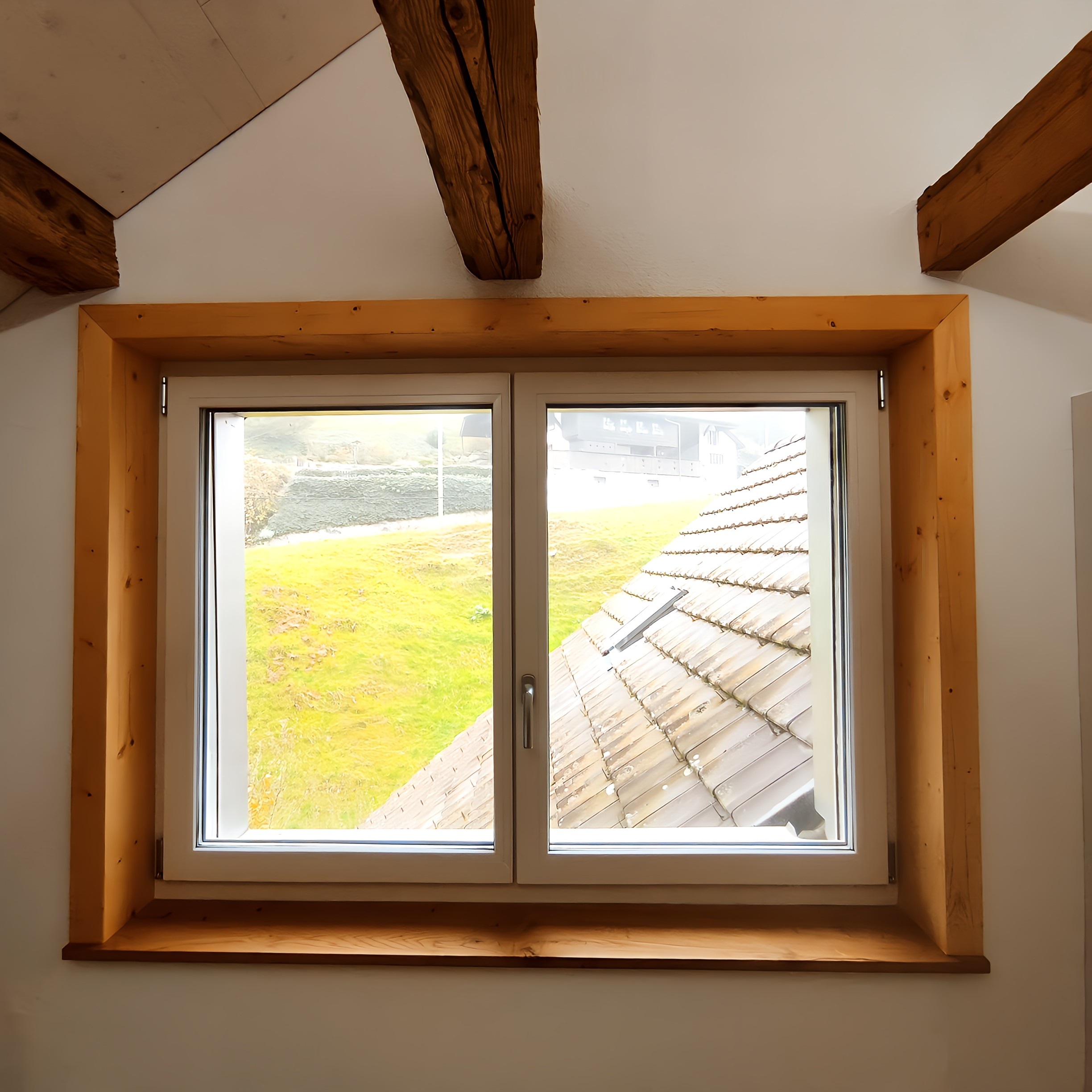 Attiswil Olga Fenster